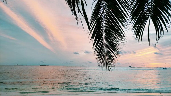 Explore the UK's Top Destinations for an Immersive Experience in British Printing Heritage